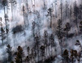 Лесные пожары в Португалии