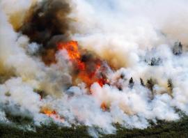 Лесные пожары в Колорадо