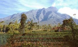 Общий вид Мерапи